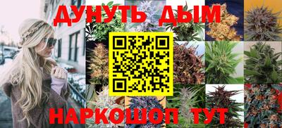 ALPHA PVP Малгобек
