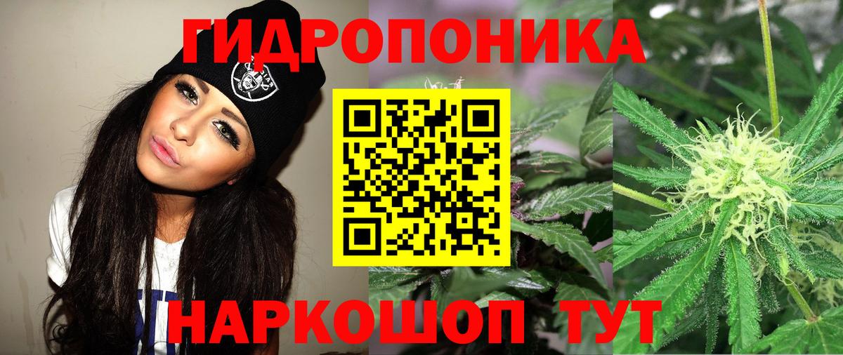 Шишки марихуана план Гурьевск